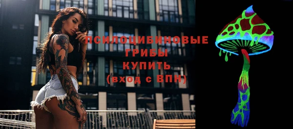 бошки Абаза