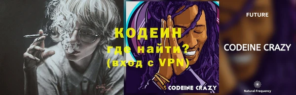 прущие грибы Абинск