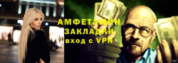 прущие грибы Абинск