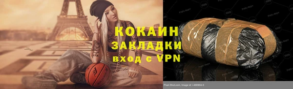 прущие грибы Абинск