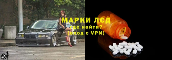 прущие грибы Абинск