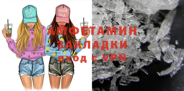 прущие грибы Абинск