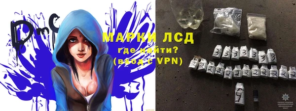 прущие грибы Абинск