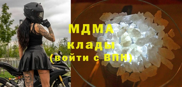 прущие грибы Абинск
