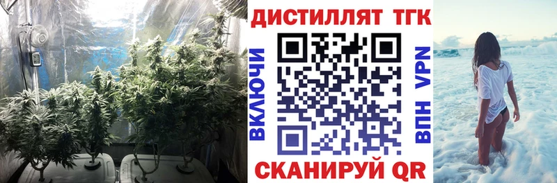 Дистиллят ТГК THC oil Остров